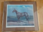 Helen Hayse Original Horse Lithograph, Signed & Numbered