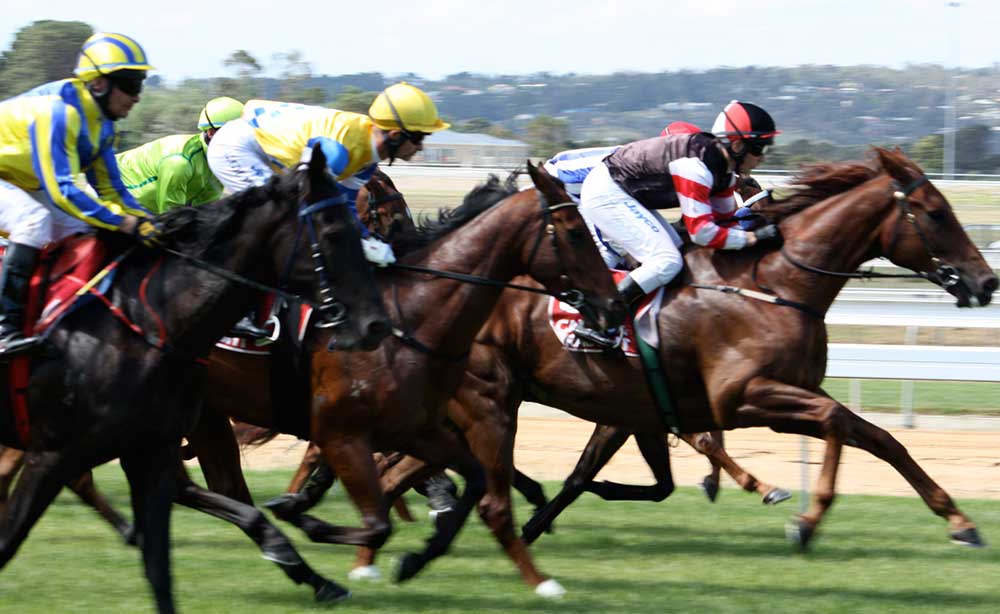 "Horse Racing at Mornington" (CC BY 2.0) by Jessica M. Cross