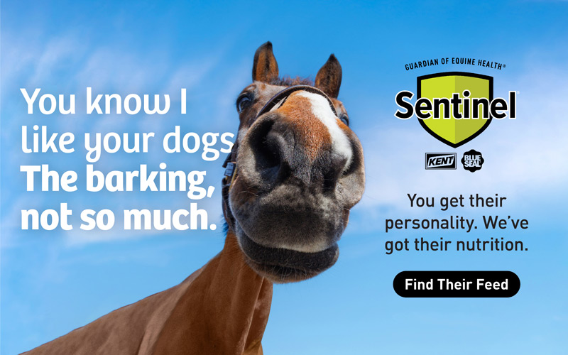 Sentinel Nutrition for Horses