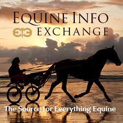 Equine Info Exchange - Web banner - 72dpi, 250px X 250px