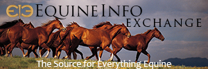 Equine Info Exchange - Web banner - 72dpi, 300px X 100px