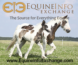 Equine Info Exchange - Web /logo - 72dpi, 300px X 250px