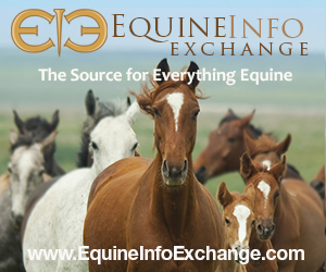 Equine Info Exchange - Web /logo - 72dpi, 300px X 250px