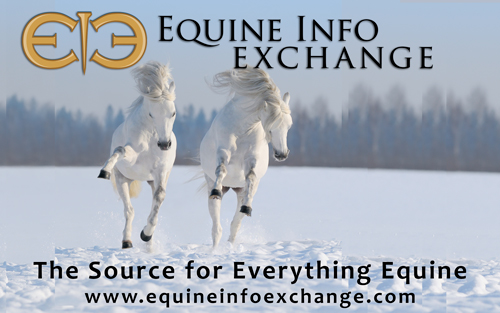 Equine Info Exchange - Print banner - 300dpi, 8 in X 5 in