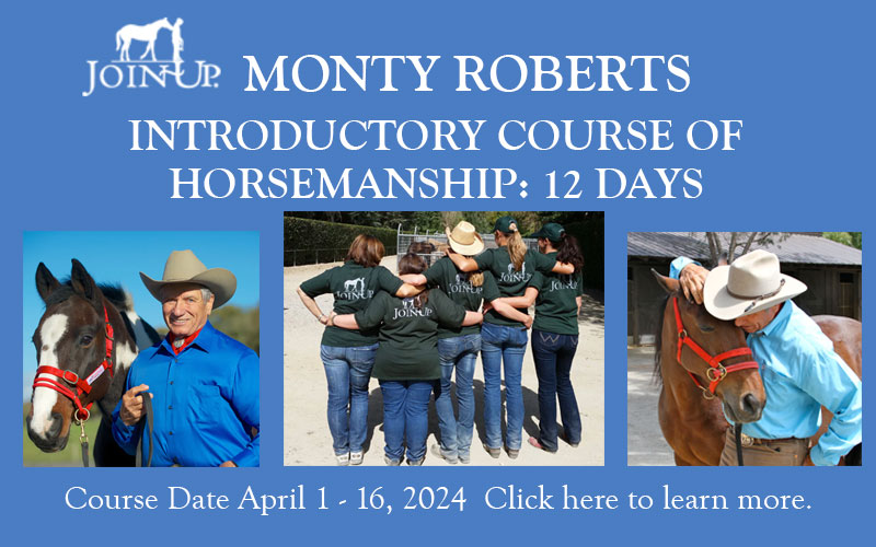 Monty Robert Introductory Course Horsemanship April 2024