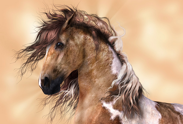 Equine Info Exchange - Equine Paintings