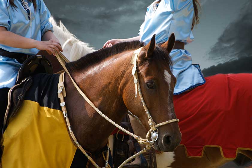 Clinicians & Trainers