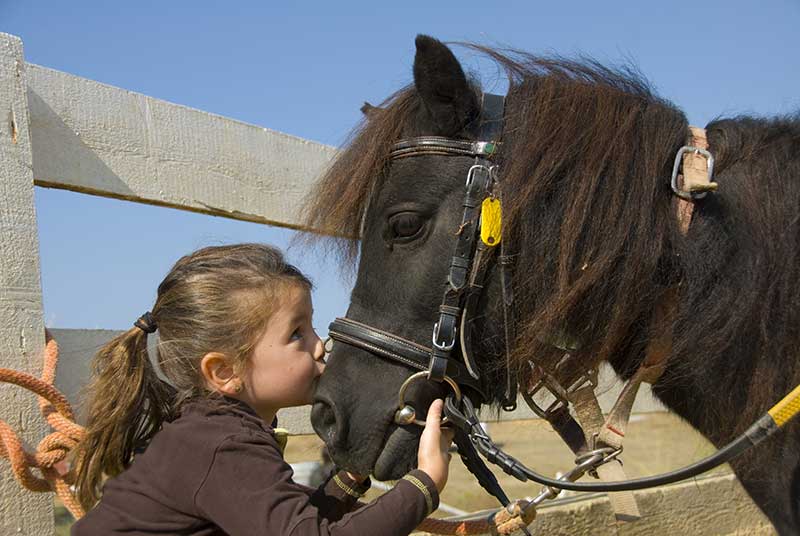 Equine Info Exchange