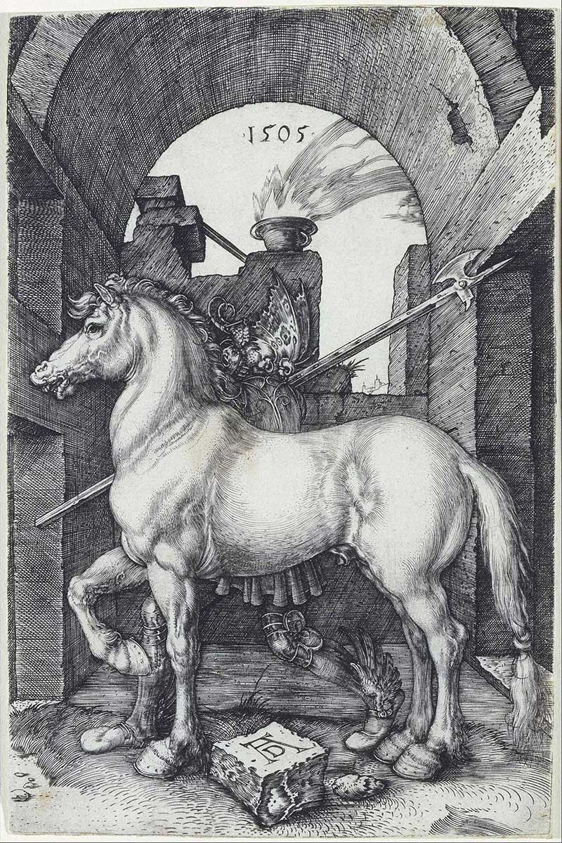 Albrecht Dürer, The Small Horse, 1505 (photo credit Albrecht Dürer/ WikiCommons)