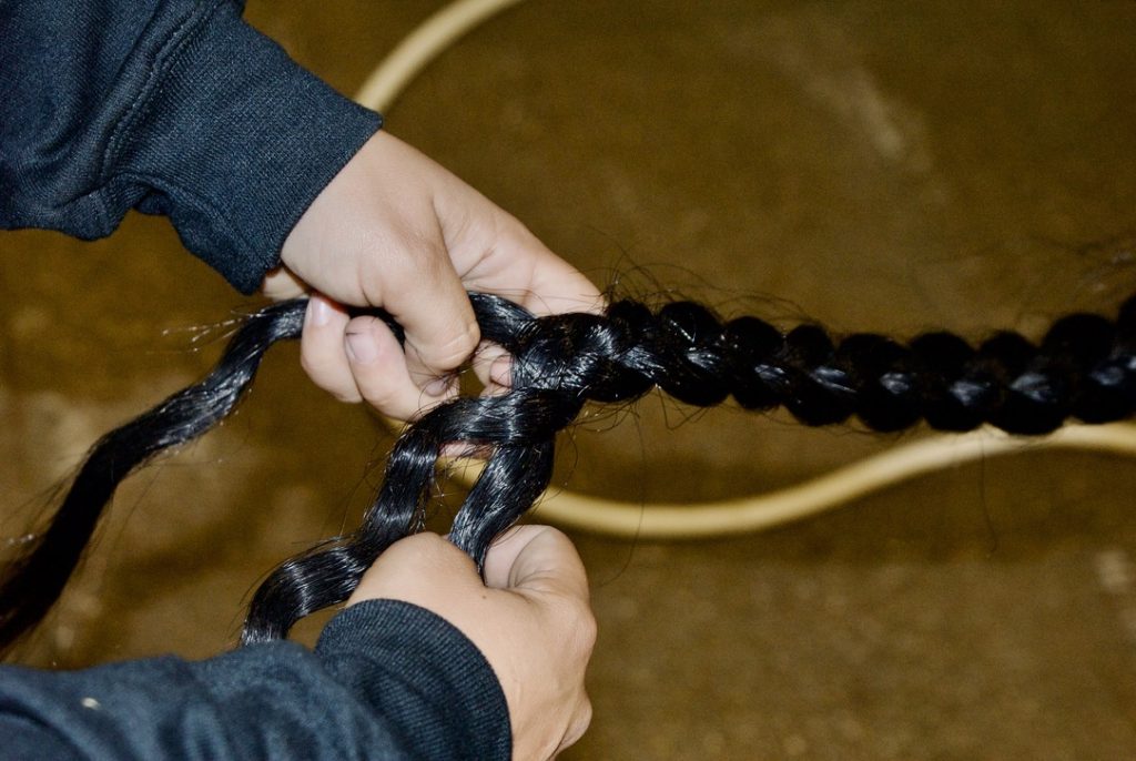 Carefully taking out a horse’s tail braid. * Photo by Amy Olson