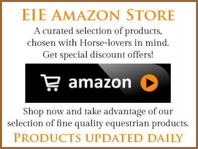 EIE Amazon Store