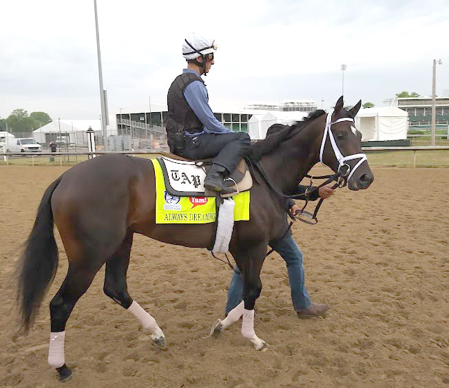 Always Dreaming at Churchill Downs, Training for the 2017 Kentucky Derby