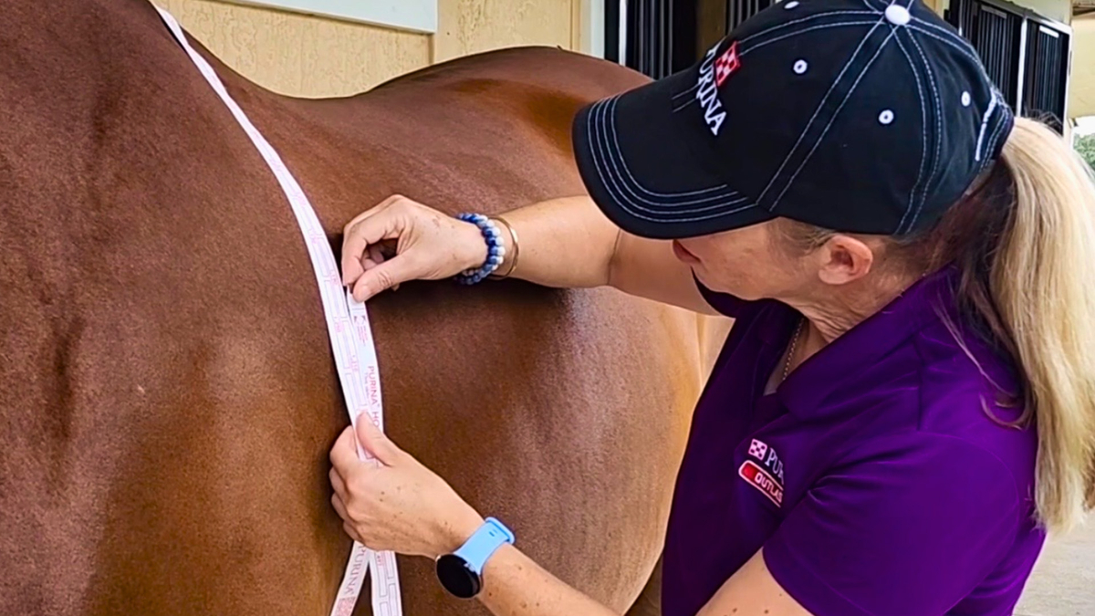 Dr. Mary Beth Gordon, PhD, Senior Director, Equine Technical Innovation at Purina, demonstrates how to use a weight tape. (Photo courtesy of Purina)