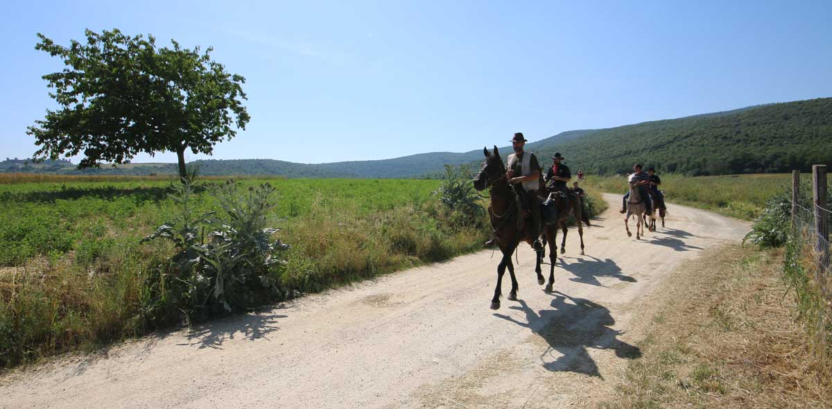 Horse Back Riding in Tuscany, Italy
