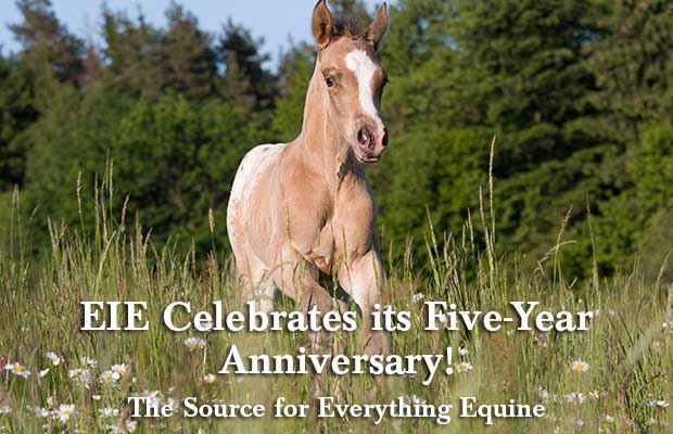 Equine Info Exchange Celebrates Its Five-Year Anniversary Milestone as  The Source for Everything Equine