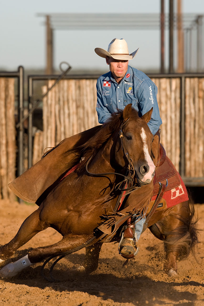 Management Tips for Performance Horses