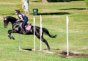Eventing at the Thoroughbred Makeover - Oct 6, 2017