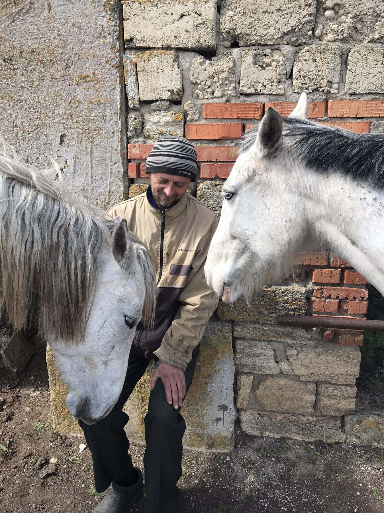 Ukrainian Equestrian Federation Charity Foundation