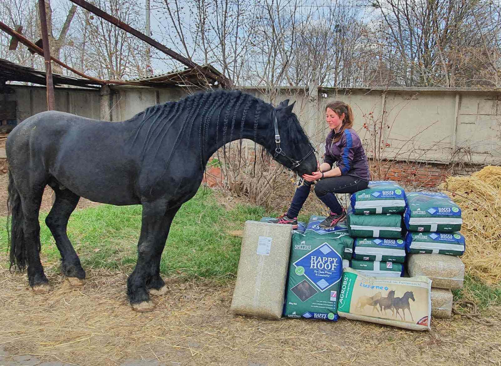 Ukrainian Equestrian Federation Charity Foundation