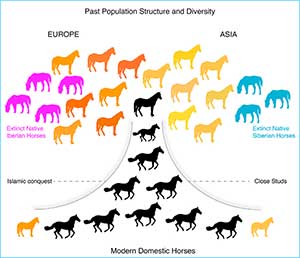 Tracking Five Millennia of Horse Management with Extensive Ancient Genome Time Series