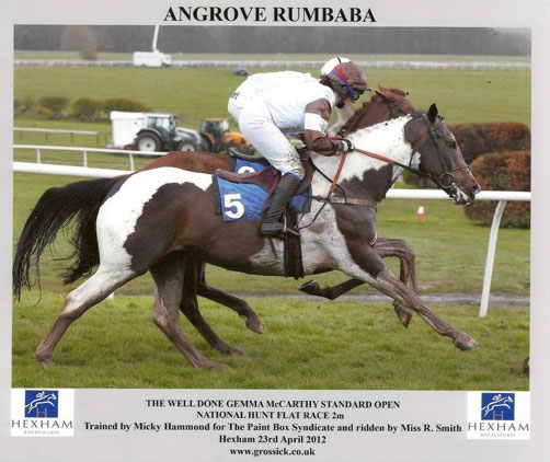  Angrove Rumbaba was the first tobiano racehorse to be placed in a horse race under rules in the UK & Europe.