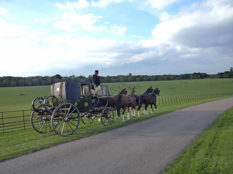 Four-in-hand private coach, photo courtesy of Haydn Webb Carriages