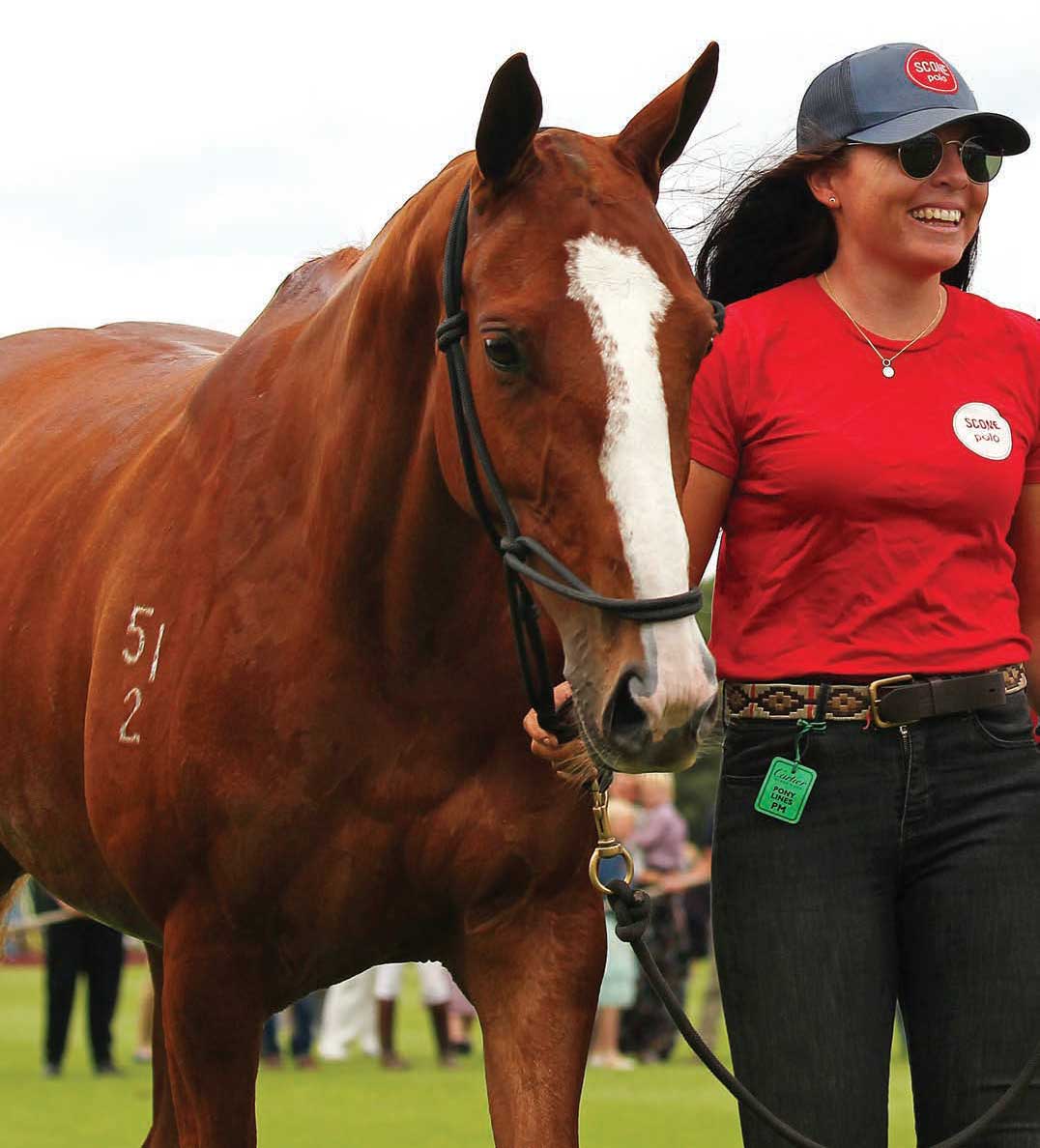 Facundo PIeres’s 10-year-old Twitter will be making her debut in the U.S. Bred by Jim Gilmore in England, she is out of Twiggy by Livingston. She won numerous Best Playing Pony honors, including in the Queen’s and Coronation Cups.