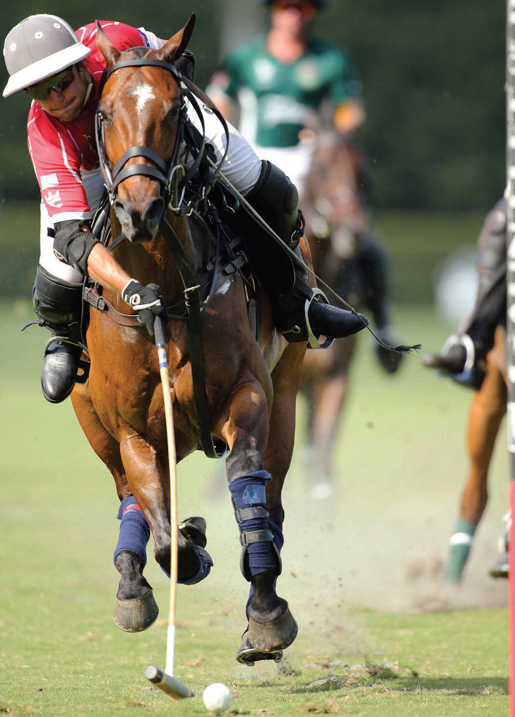 Carpacho - Valiente’s Peke Gonzalez will be playing Carpacho in the Gauntlet. Gonzalez was injured last year so Poroto Cambiaso played the horse. The 10-year-old Carpacho gets better and better each year.