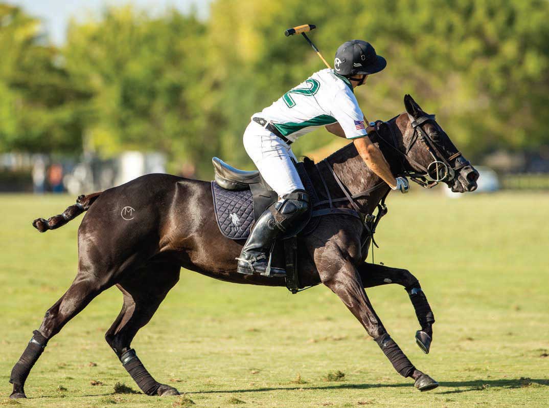 Adele - A favorite of Matt Coppola is his 10-yearold Adele (Riverdance x Riojana). Coppola has been on her when making crucial plays. She was Best Playing Pony in the 2022 16-goal Outback Invitational final.