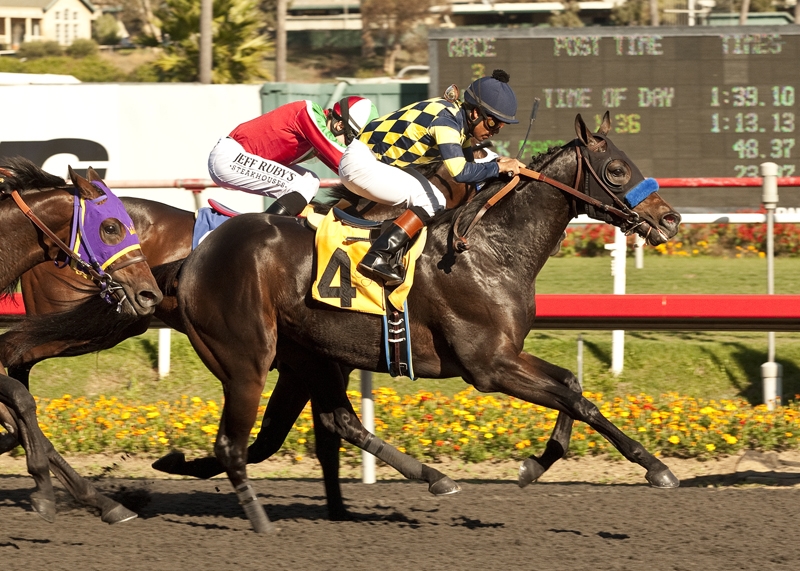 First success: Carving, owned by Bode Miller in partnership with Jill Baffert, wins the Real Quiet Stakes at Hollywood Park in 2012. Benoit photo