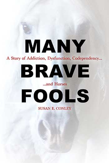Many Brave Fools by Susan E. Conley