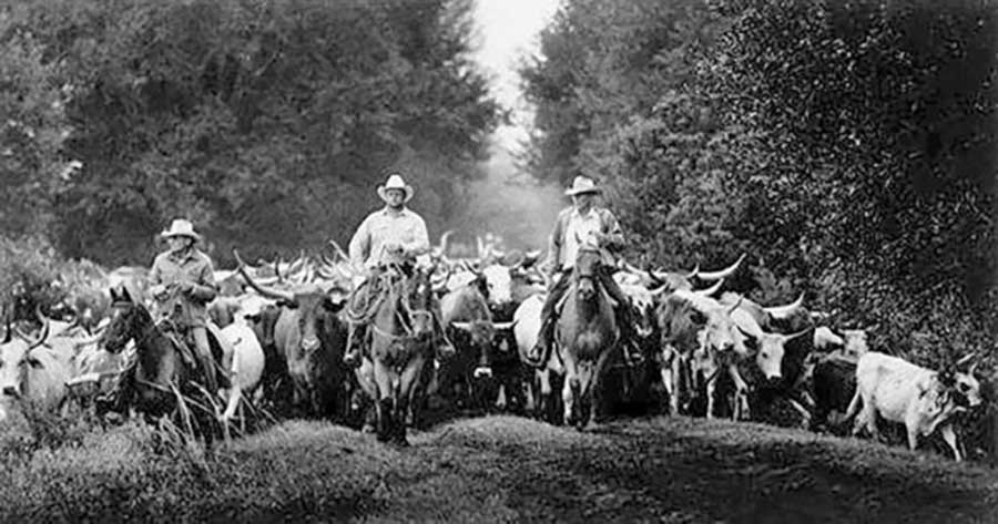 Special to the Lake Okeechobee News/Doyle Conner Jr. The Great Florida Cattle Drive of 2021 will be a 7-day trek in Central Florida. The planning committee will meet Aug. 17 in Kissimmee.