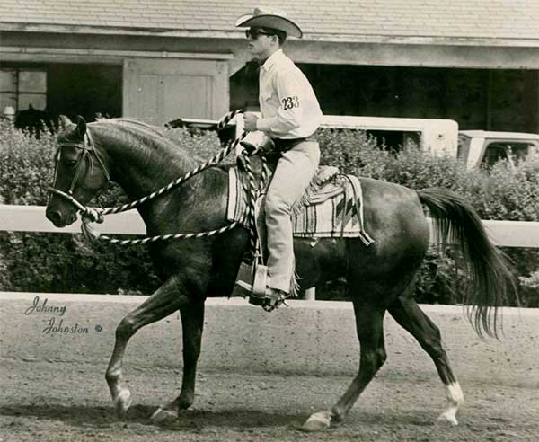 Paul Husband (1967) riding his family’s Arabian filly Carinosa, in Hackamore.  Carinosa later became a Hall of Fame mare and a Breyer Toy model.