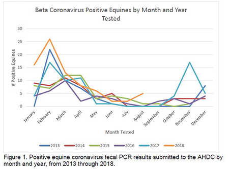 Beta Coronavirus Positive by Month and Year Tested