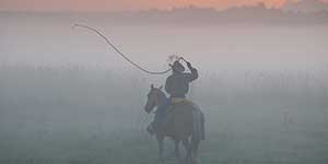 The cracker cattle were descendants of the seven Andalusian cattle first brought from Spain by Ponce de Leon when he made his second voyage to Florida in 1521.