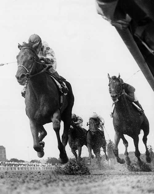 Damascus defeats Dr. Fager in the Brooklyn. (Bob Coglianese)