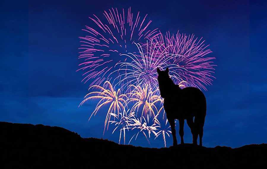 Maintain Your Horse’s Safety This New Year's Eve