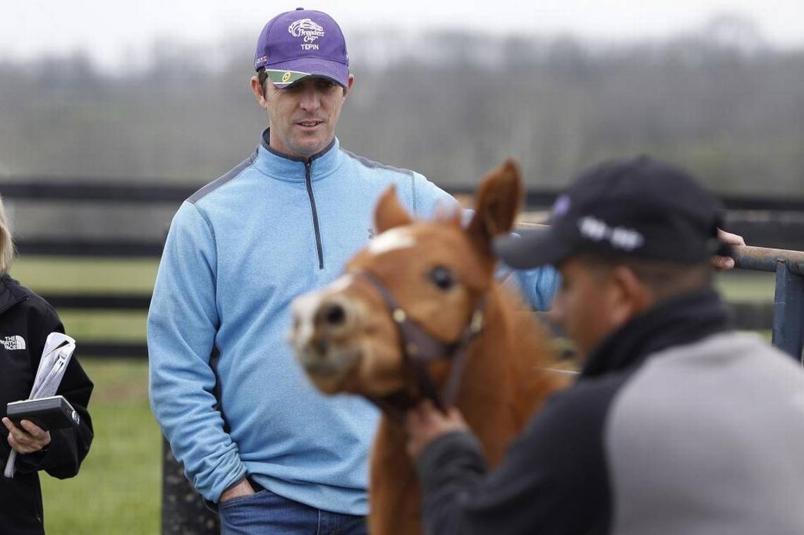 Craig Brogden, who owns the farm with wife Carrie, watched as farm manager Luis Coronado led the foal to his paddock at Machmer Hall farm in Paris. This foal, a colt by Kentucky Derby winner Animal Kingdom, was rejected by his mother at birth, but soon found a new mom in Maizelle, a mare who lost her baby during foaling days before his birth. Photo by Matt Goins