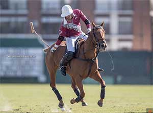 Photo courtesy of Pololine