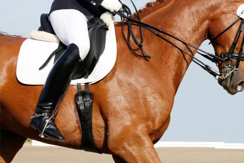 Dressage Saddle (courtesy Canva)