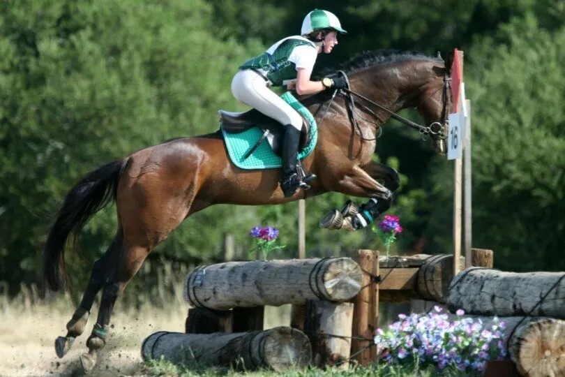 Eventing horse and rider over log Source: Canva