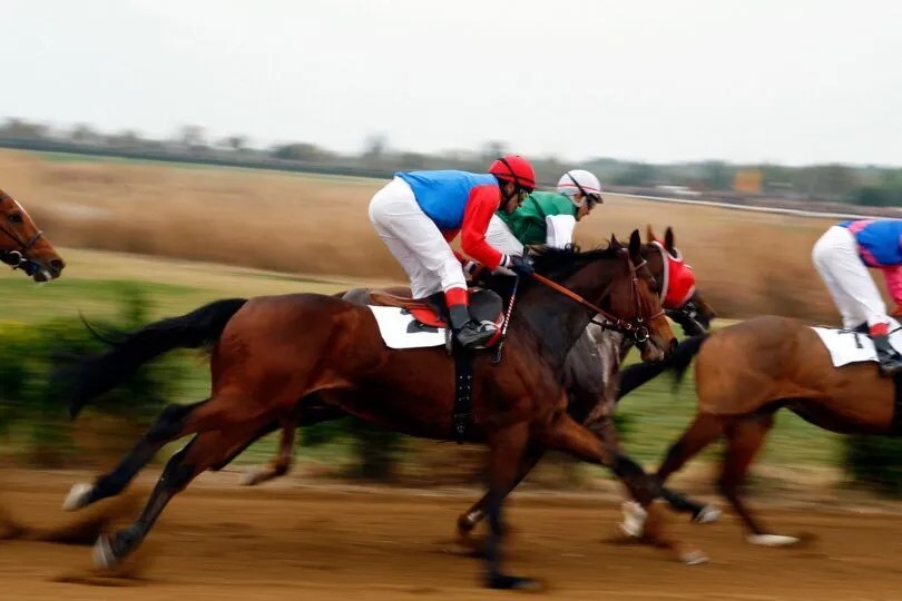 Racing saddle on bay horse Source: Canva