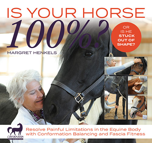 How Myofascial Bodywork Helps Horses by Margret Henkels 