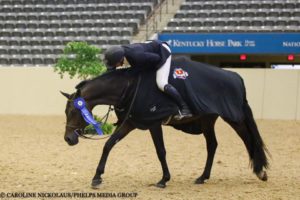 Geoffrey took home the 2016 win in the Hallway Feeds USHJA National Hunter Derby series at the Kentucky Horse Park and was also awarded the $10,000 Hallway Feeds Leading Professional Rider Award. Photo Credit: Phelps Media Group.