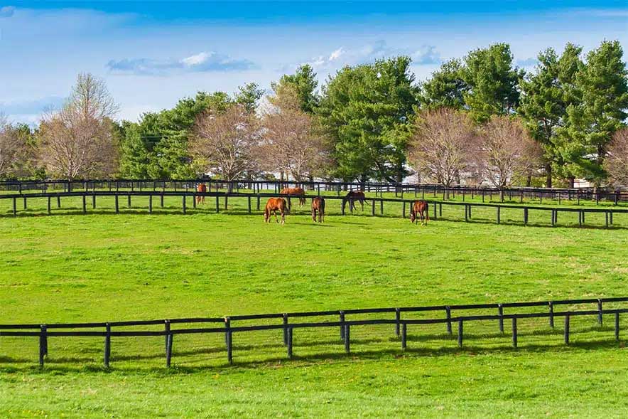 Horizon Structures Horse Barn Fencing