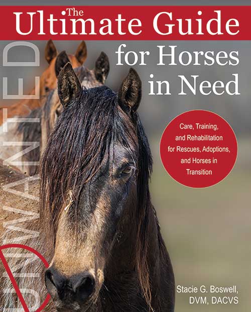 The Ultimate Guide for Horses in Need by Dr. Stacie Boswell