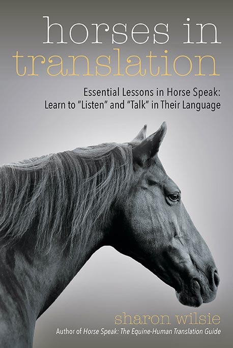 Horses in Translation by Sharon Wilsie