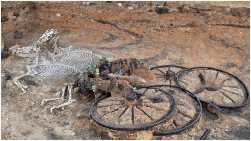 Iron Age Chariot Burial Site Found – Complete with Horse and Rider