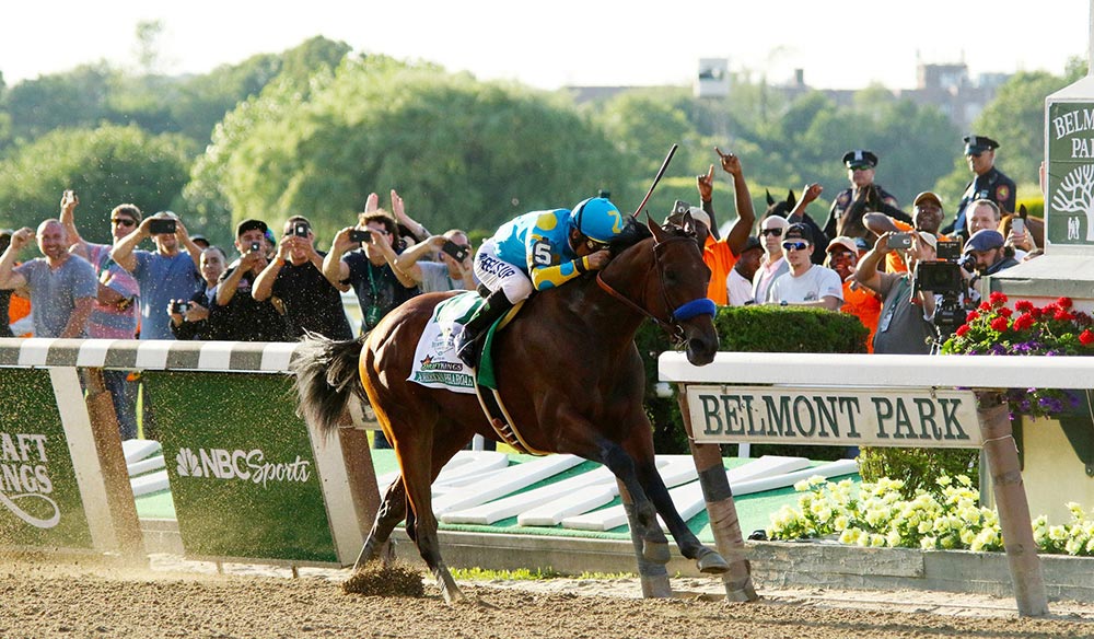 American Pharoah - 2015 Belmont Stakes"(CC BY-SA 2.0) by Mike Lizzi