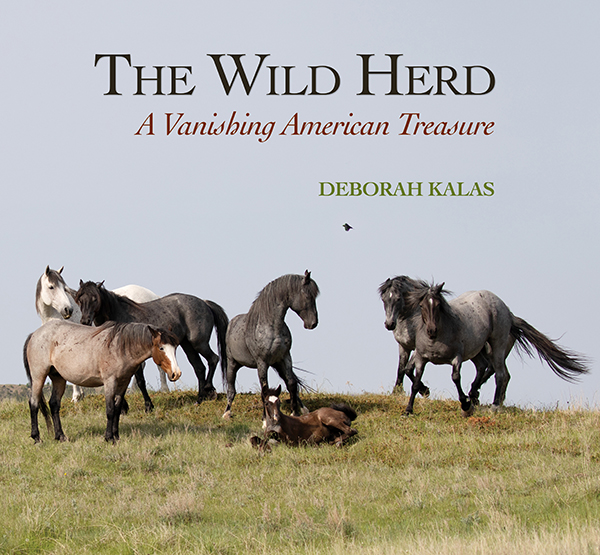 Deborah Kalas, The Wild Herd Excerpt